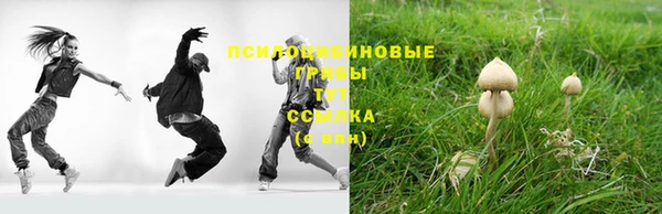 круглые Абаза