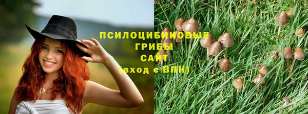 круглые Абаза