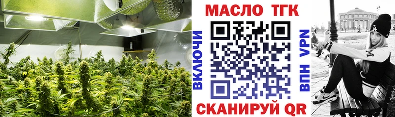 ТГК Wax Котлас